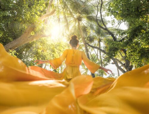 Nam eget nulla ex. Donec ac neque vel tortor pharetra condimentum scelerisque ut neque.